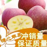 红富士苹果  四川汉源高山冰糖心苹果  脆甜新鲜水果10斤送2斤批发包邮