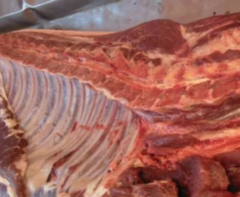 进口冻猪肉大量批发